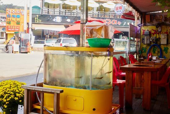 Cheongho Sashimi Grilled Clams